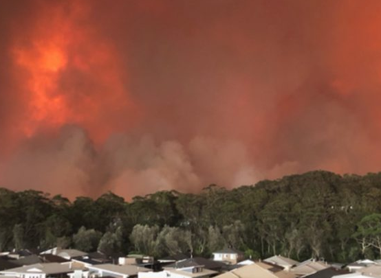 How to block your gutters and downpipes for bushfire