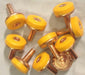 Buy Fix A Tap Soft Turn Tap Washers 10 Pieces at plumbersbest.com.au